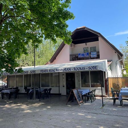 Palić Feher Akac Guest House מראה חיצוני תמונה